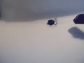 (uploaded by captjimjam)&nbsp;Demonstration of security keychain