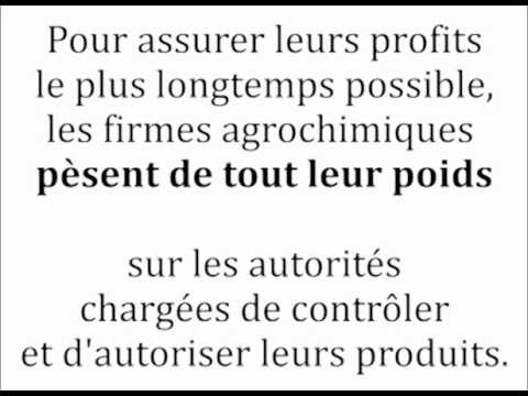 Image de prévisualisation YouTube