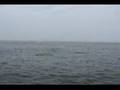 New York Kayak Fishing 2007