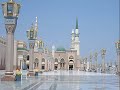 Zekeriya Maral Solmayan Gul Zekeriya Maral Solmayan Gul