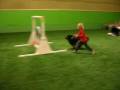 videos de Agility tuomas ja porri