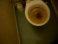 videos de la mierda flotante
