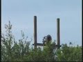 Essex Flood Siren Test