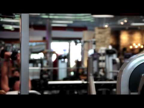 Hammerstrength and Life Fitness Equipment Hammerstrength and Life Fitness Equipment