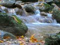 a video-intervention responding to european metaphysics filtered through agamben, heidegger, foucault, derrida, deleuze, badiou, etc. 
for those interested, see:
alan watts, tao:the watercourse way (new york: pantheon, 1975); roger t. ames & david hall, daodejing: making this life significant (new york: ballantine, 2003); and ernst bloch, natural law and human dignity (cambridge, ma: mit press, 1986).

