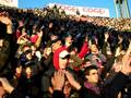 videos de bologna palermo 1-1