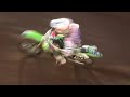 Grand Prix Kawasaki Racing Team Grand Prix Kawasaki Racing Team