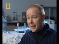 Dino Autopsy-Bizarre revelations & results