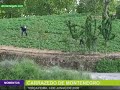 Carrazedo de Montenegro