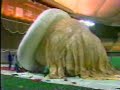 macys-thanksgiving-day-parade-1987-part-1.html