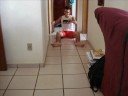 Prevest, murilo em seu carrinho
