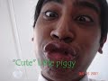 swiss cottage 5n1 07 video