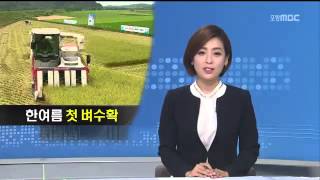 뉴스데스크