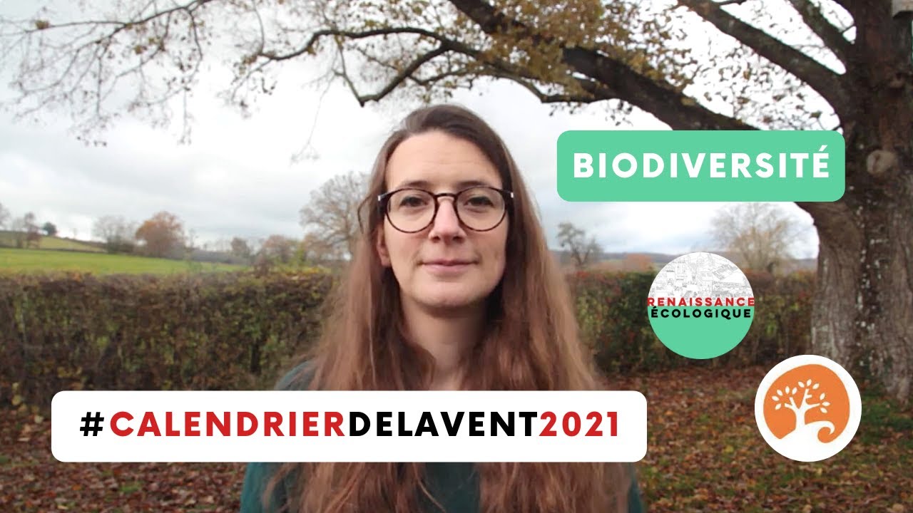 Biodiversité #CalendrierdelAvent2021 La Fresque de la Biodiversité