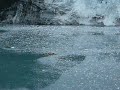 Marjerie Glacier calving with kayakers watching the tsunami Marjerie Glacier calving with kayakers watching the tsunami