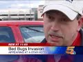 Bed Bugs in Four-Star Hotel Bed Bugs in Four-Star Hotel