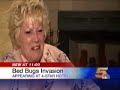 bed bugs in four star hotel