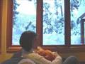 videos de Whistler Kids Winter