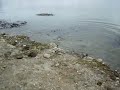 Pesca � Carpa em Veiros