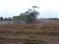 lincolnshire harvest