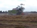 lincolnshire harvest