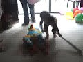 Logan vs. the pinata