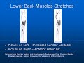 Lower Back stretches aren't one of the  posture exercises everyone should be doing.  They should only be performed by people who have a  posture that predisposes them to tight back muscles.This includes postures with an increased lumbar lordosis (a greater backwards curve of the lower back) or an anteriorly tilted pelvis (the top of the pelvis is rotated forward).This video brought to you by http://posture-exercises.blogspot.com and shows how to perform some appropriate lower back stretches.