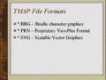 Tactile Maps Automated Production (TMAP)