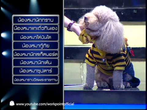 Identity Thailand 28 พ.ย. 56 (ตุ๊กกี้ & คริส)