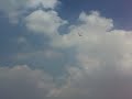 wing 450 inverted