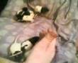 babys eyes open 