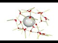 Hydration Shell Dynamics of a Hydrophobic Particle