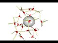 Hydration Shell Dynamics of a Hydrophobic Particle