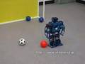 ロボットサッカー シュート練習(RB2000)