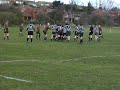 wardys wonder try