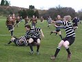 wardys wonder try
