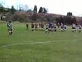 wardys wonder try