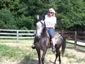 Ridig Horse