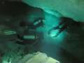 Deep Sea Diver - Hunting Club