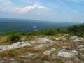 New Jersey Panorama
