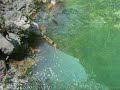 Konjic Grad