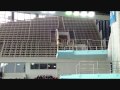 Final men's 10m plattform grand prix Moscow 2010 View Video