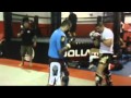 Stefane Dias and Alessio Sakara talking about Brian Stann - UFC