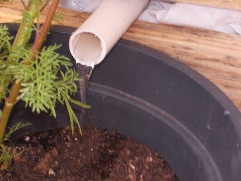 how to drain f and e tank