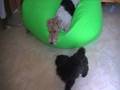 videos de MOV015.MOD