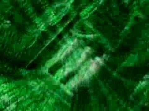 Wisdom of holographich universe | Intentions