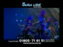 Swan Lake - Die Akrobatik-Sensation aus Fernost / Spot