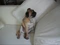 Mugsy Sings Bocelli Mugsy Sings Bocelli