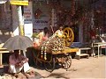 Pushkar