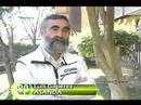 Balance Ley Protecci�n Animales 2003 Andaluc�a